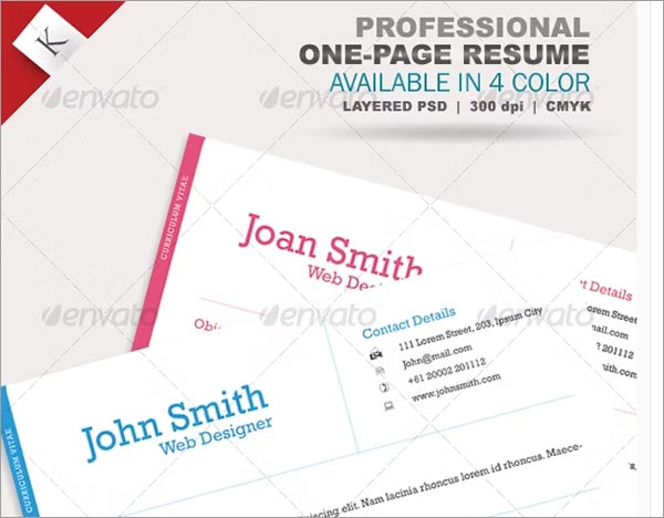 Professional One Page Resume