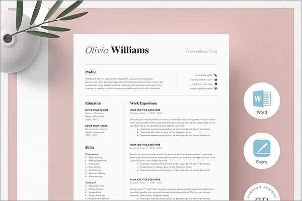 One Page Resume Template Kit