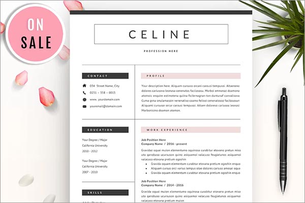 Professional Resume CV Template
