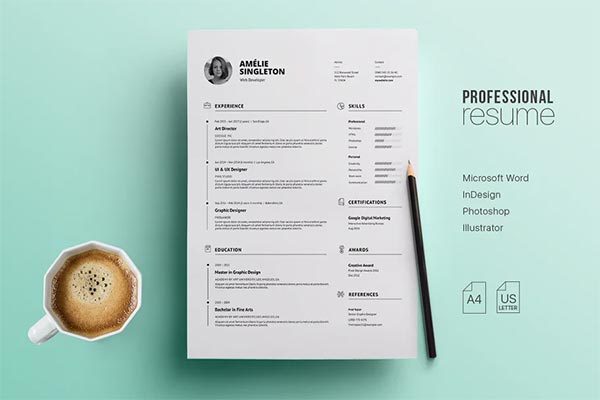 Professional Resume Template