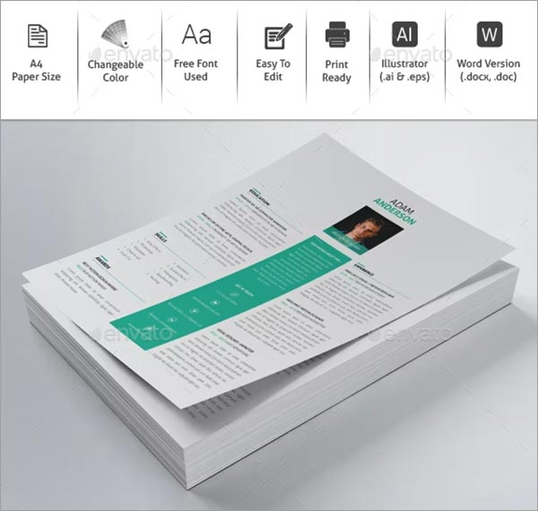 One Page Design Resume Template