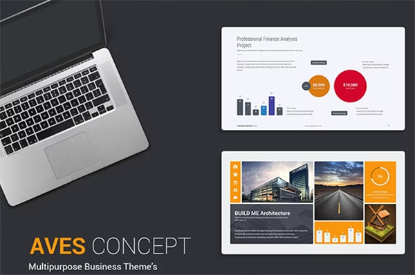Aves Business Theme Template