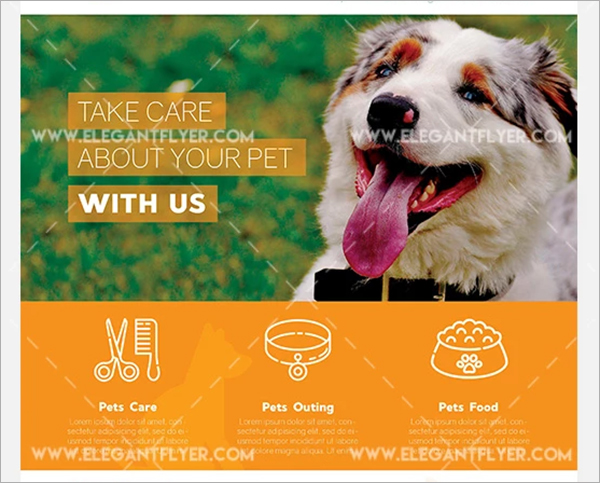 Free Flyer Pet Shop PSD Template