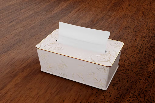 Tissue Color Box Mockup