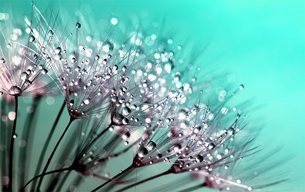 Free Photo Background Template
