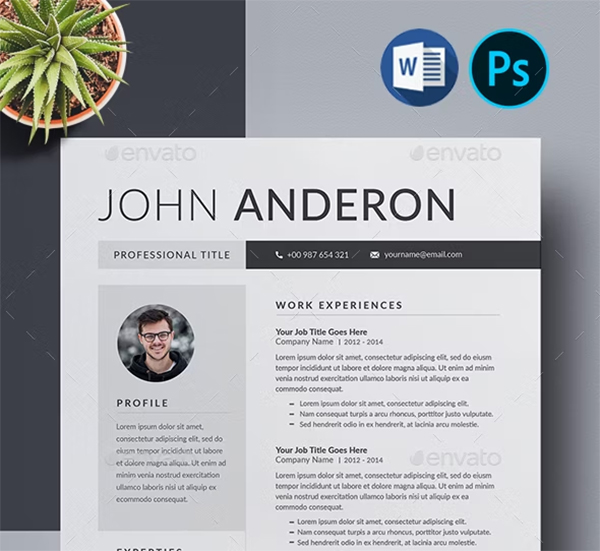 Professional Resume PSD Template Professional Resume PSD Template