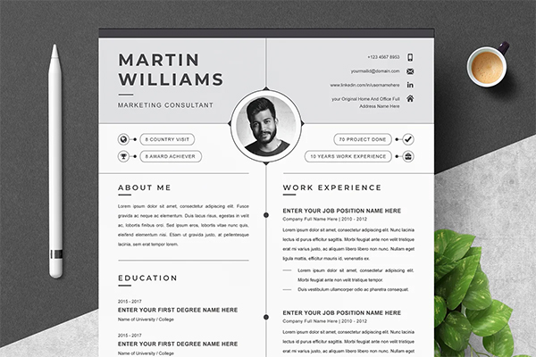 Infographic Resume Template Infographic Resume Template