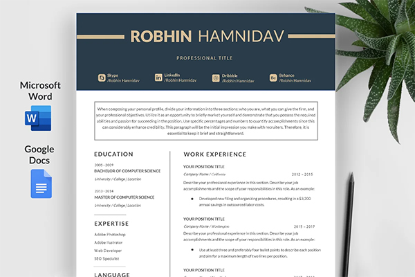 Executive Resume and CV Template Executive Resume and CV Template
