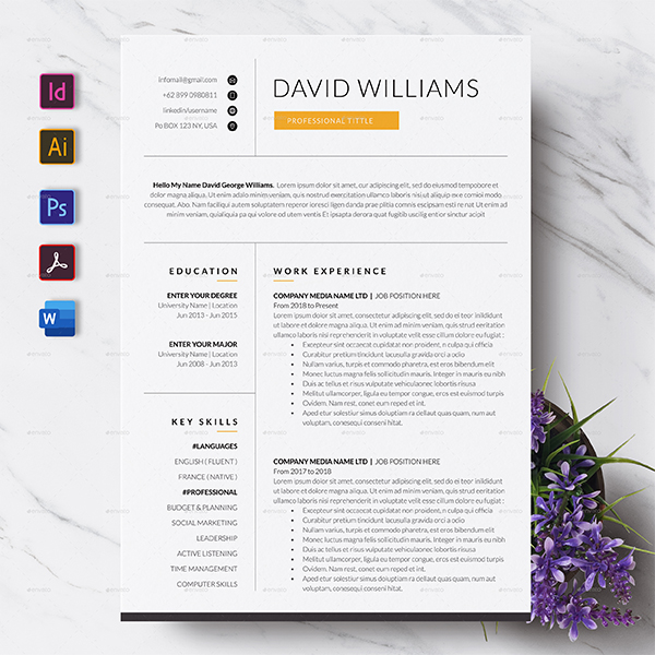Minimal Resume CV Template
