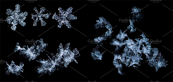 Snowflakes Black isolated Template