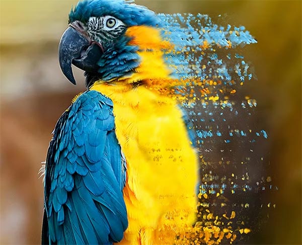 Pixel Dispersion Photoshop Action