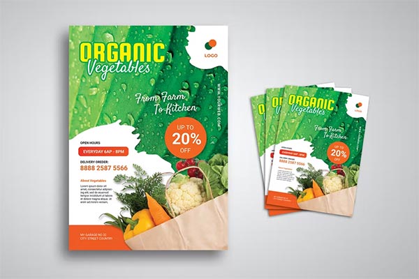 Organic Food Flyer Desgins