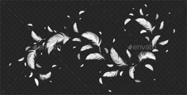Flying White Feather Png Transparent Background